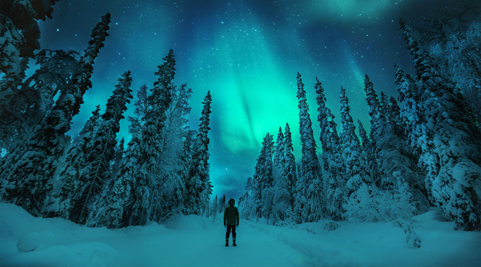 【极光之旅】 芬兰拉普兰10天8晚私家小团/玻璃穹顶追梦北极光